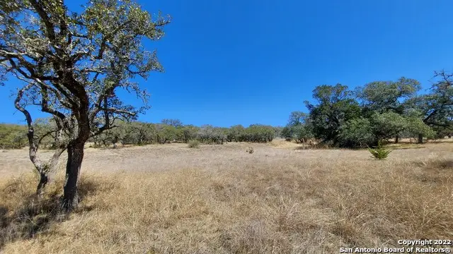 928 Annabelle Ave, Bulverde, TX 78163 - #2