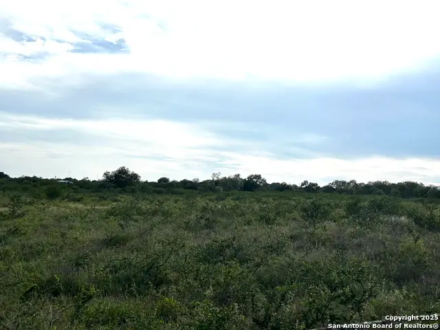 TBD Hackberry Dr (tr 56 Oak Motts Est), Beeville, TX 78102 - Image #3
