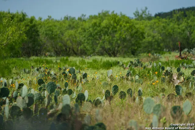 000 Brite Lane, Poteet, TX 78065 - Image #1