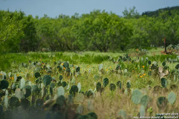 000 Brite Lane, Poteet, TX 78065