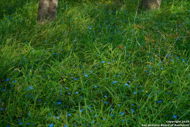 000 Brite Lane, Poteet, TX 78065 - Image #3