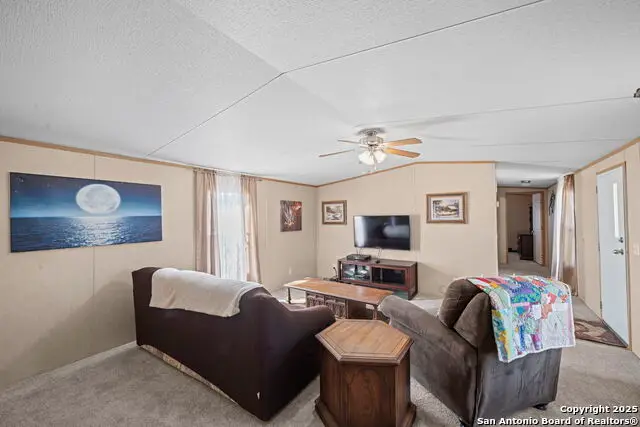 820 Forest View, Blanco, TX 78606 - Image #3