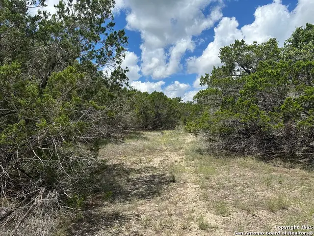 7131 Rebecca Creek, Spring Branch, TX 78070 - Image #2