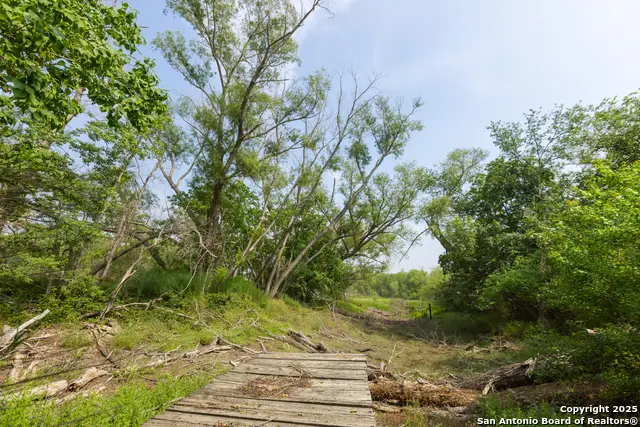 TRACT 1 Shepherd Road, Atascosa, TX 78002 - Image #3