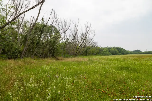 TRACT 2 Shepherd Road, Atascosa, TX 78002 - Image #2