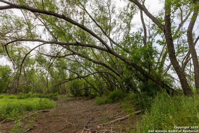 TRACT 2 Shepherd Road, Atascosa, TX 78002 - Image #3