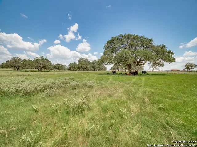 1635 Coble Rd, Poteet, TX 78065 - Image #2