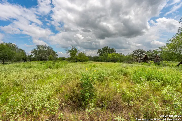 330 S Encino Crossing, Natalia, TX 78059 - Image #1