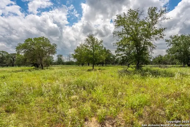 330 S Encino Crossing, Natalia, TX 78059 - Image #2