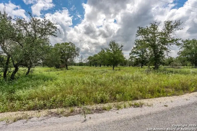 330 S Encino Crossing, Natalia, TX 78059 - Image #3