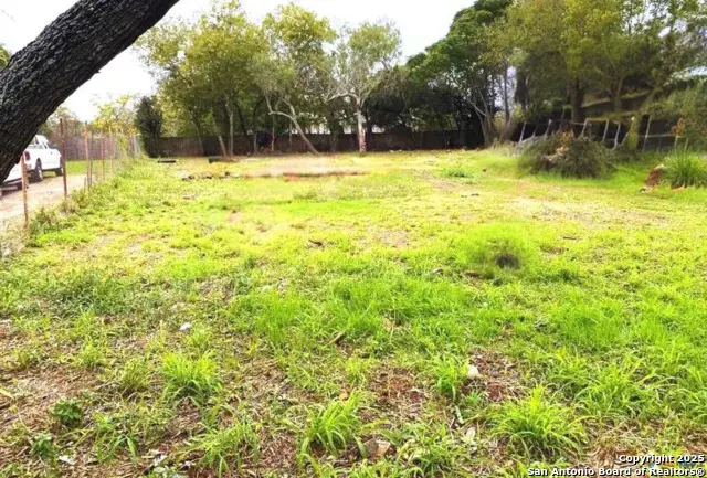 1135 Novella, Adkins, TX 78101 - Image #3