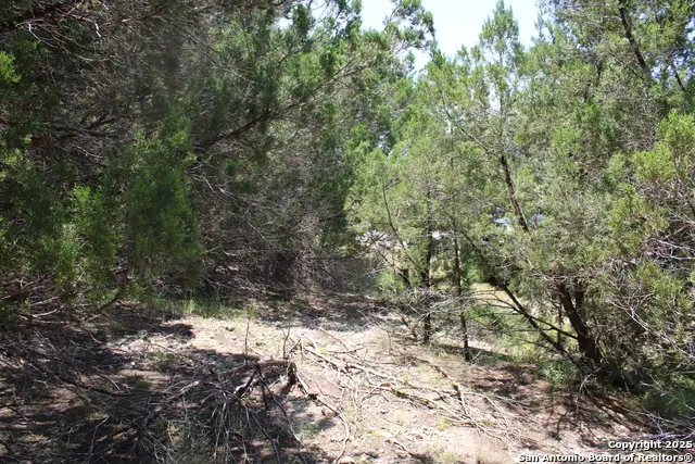 1105 Rotherman, Canyon Lake, TX 78133 - #3