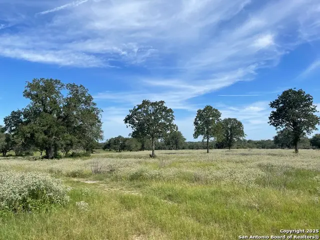 4011 County Road 296, Gonzales, TX 78629 - Image #2