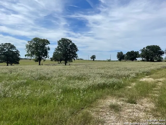4011 County Road 296, Gonzales, TX 78629 - Image #3