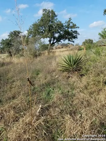 LOT 102 PR 3702 Pr 3702, San Antonio, TX 78253 - Image #1