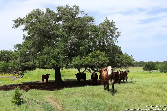 1839 County Road 271, Moulton, TX 77975 - Image #3