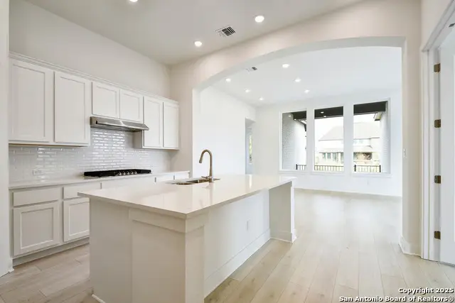 340 Fountain Grass Drive, San Marcos, TX 78666 - #2