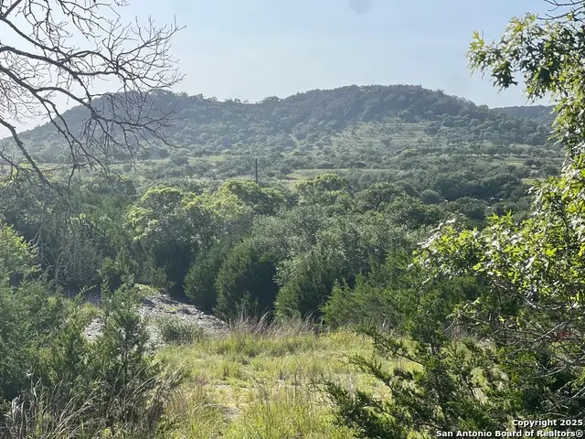 118 Coleman, Boerne, TX 78006 - #3