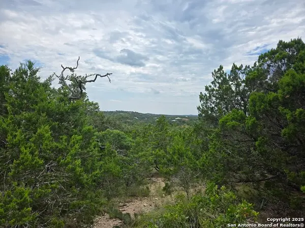 00 Beartooth Pass, San Antonio, TX 78255