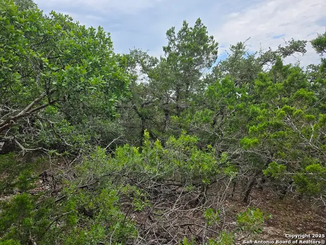 00 Beartooth Pass, San Antonio, TX 78255 - Image #2