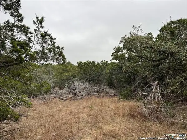 713 Stagecoach, Spring Branch, TX 78070