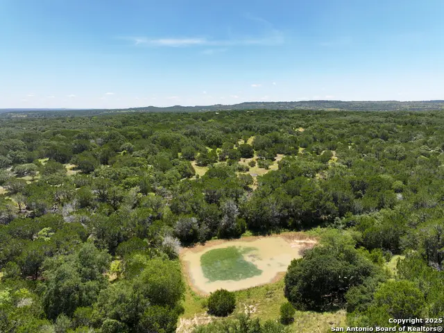 1448 Crabapple Rd, Blanco, TX 78606 - Image #3