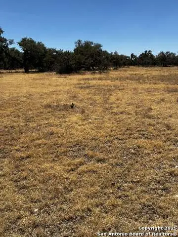 LOT 85 Stock Pond Dr., Harper, TX 78631 - Image #2