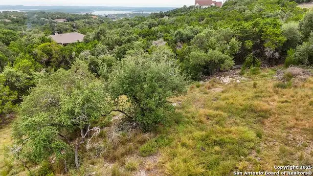 162 Falcon, Canyon Lake, TX 78133 - #3
