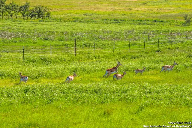 449 Luke Hayes Way, Fredericksburg, TX 78624 - #2