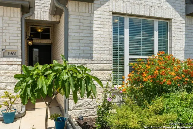 1961 Edelweiss, New Braunfels, TX 78130 - Image #3