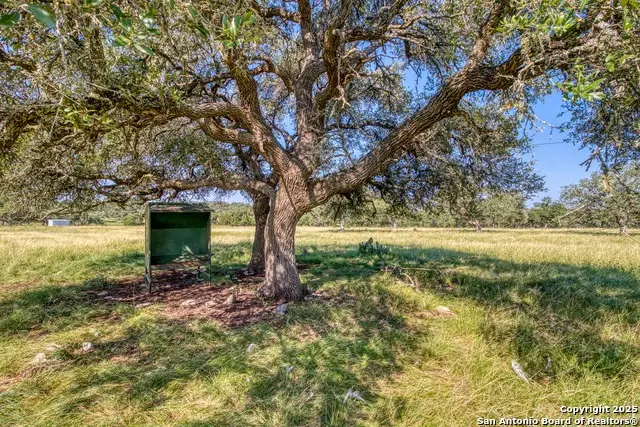 181 Colinas, Kerrville, TX 78028 - Image #3