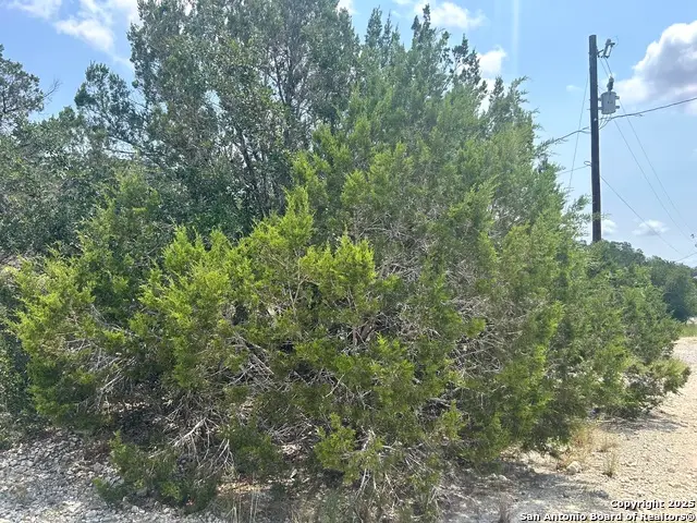 16 Contour Dr, Spring Branch, TX 78070 - Image #3