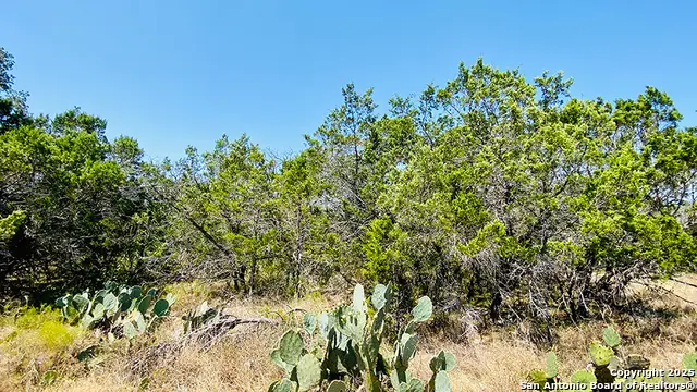 42ND St, Lakehills, TX 78063 - Image #3