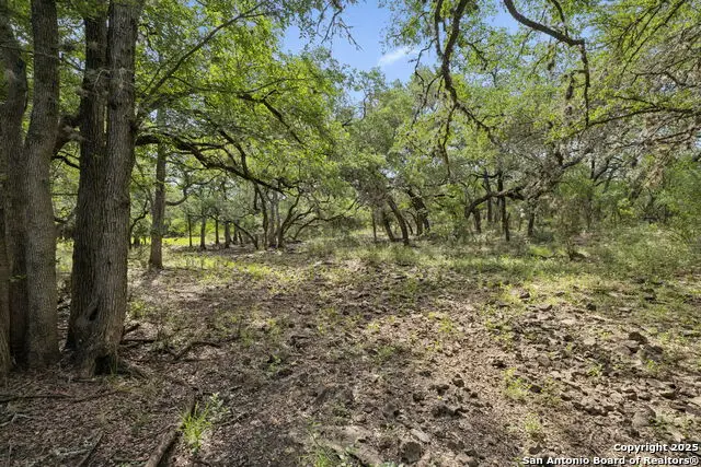 547 County Road 3401, Hondo, TX 78861 - Image #1