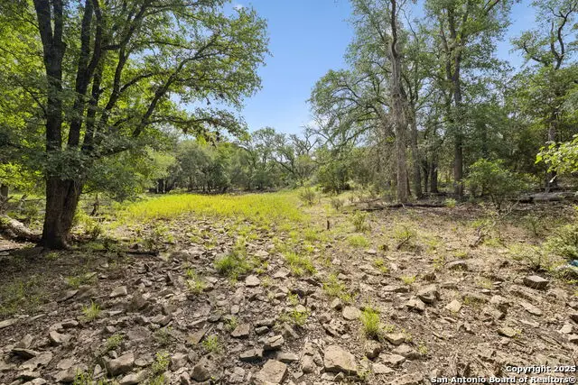 547 County Road 3401, Hondo, TX 78861 - Image #2