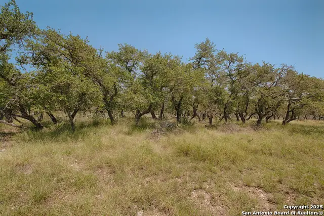 379 Bent Tree, Harper, TX 78631 - Image #1