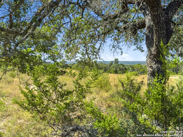 820 Stone Ridge Mountain Drive, Round Mountain, TX 78663 - #1