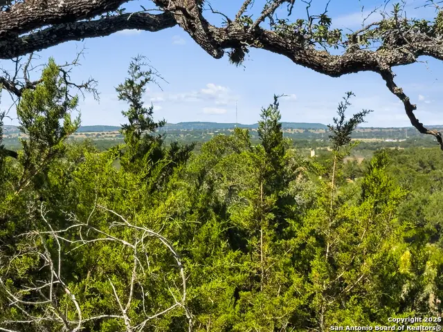 820 Stone Ridge Mountain Drive, Round Mountain, TX 78663 - #3