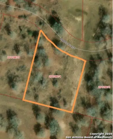 157 Timber Place, La Vernia, TX 78121