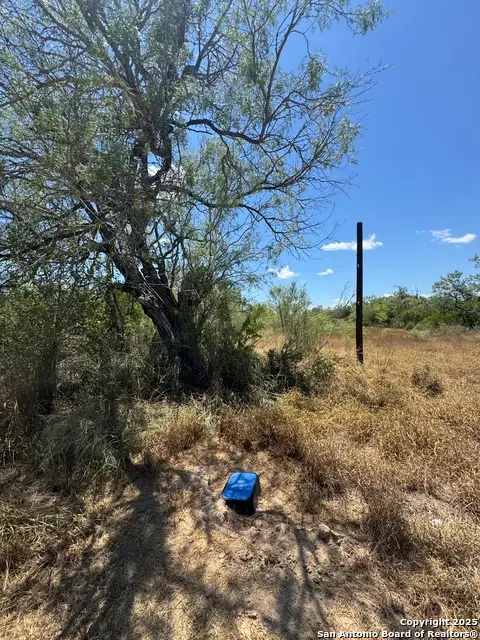 404 Avenue J, Christine, TX 78012 - Image #2