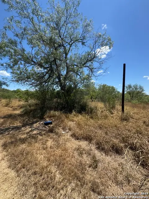 404 Avenue J, Christine, TX 78012 - Image #3