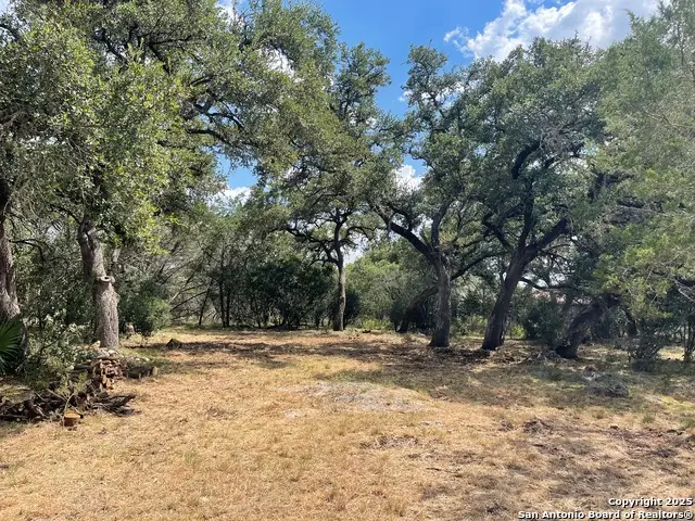 161 Sunnyside, Spring Branch, TX 78070 - Image #2