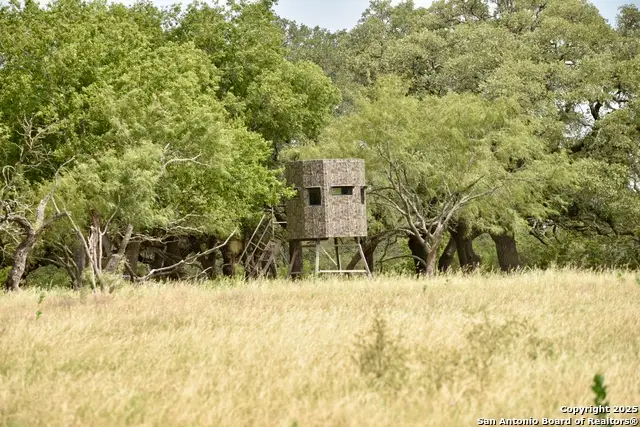 1436 Fm932, Purmela, TX 76566 - Image #3