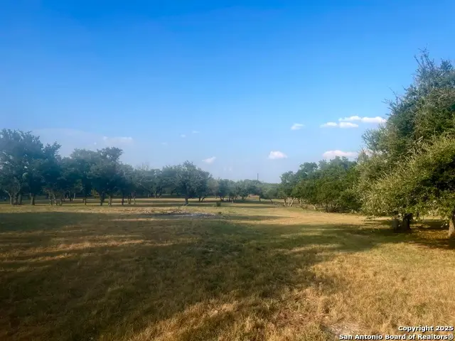 1014 Lipan Apache Run, Blanco, TX 78606 - #3