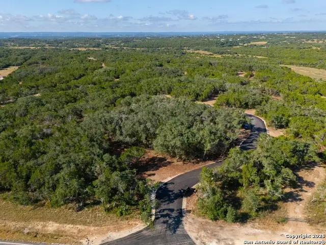 TRACT 2 Pierson Road, Blanco, TX 78606 - Image #3