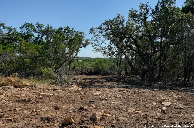 TRACT 4 Pierson Road, Blanco, TX 78606 - Image #3