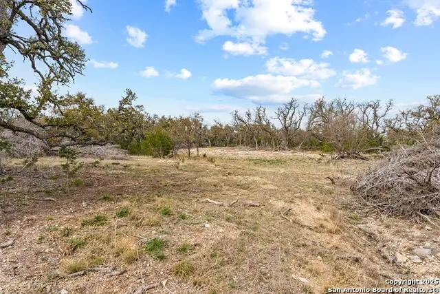 LOT 42 Brooklyn, Mountain Home, TX 78058 - Image #2