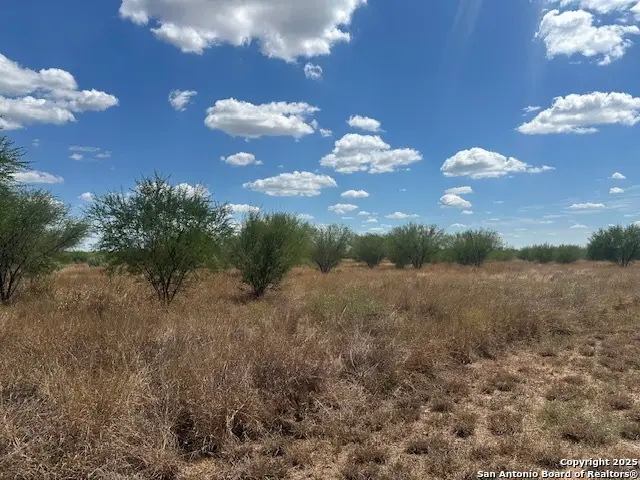 485 Joy, Floresville, TX 78114 - Image #1