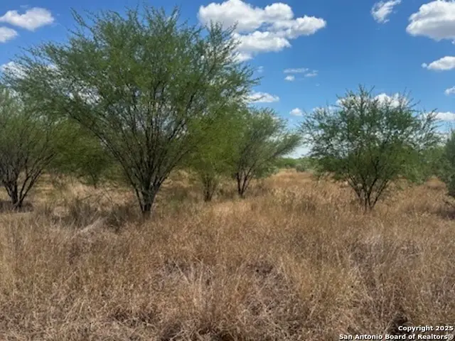 485 Joy, Floresville, TX 78114 - Image #2