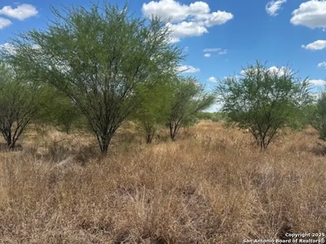 485 Joy, Floresville, TX 78114 - Image #3